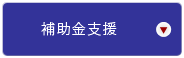 補助金支援